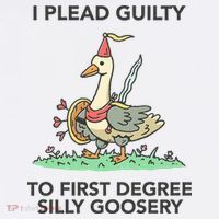 Wizard Of Barge I Plead Guilty To First Degree Silly Goosery T-Shirt