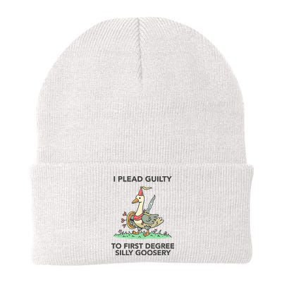Wizard Of Barge I Plead Guilty To First Degree Silly Goosery Beanie