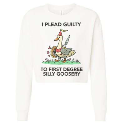 Wizard Of Barge I Plead Guilty To First Degree Silly Goosery Cropped Pullover Crew