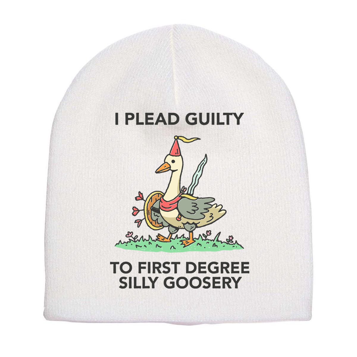 Wizard Of Barge I Plead Guilty To First Degree Silly Goosery Short Acrylic Beanie