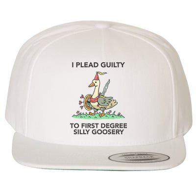 Wizard Of Barge I Plead Guilty To First Degree Silly Goosery Wool Snapback Cap