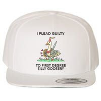 Wizard Of Barge I Plead Guilty To First Degree Silly Goosery Wool Snapback Cap