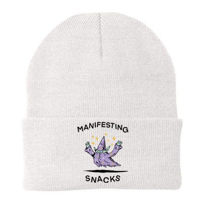 Wizard Of Barge Manifesting Snacks Knit Cap Winter Beanie