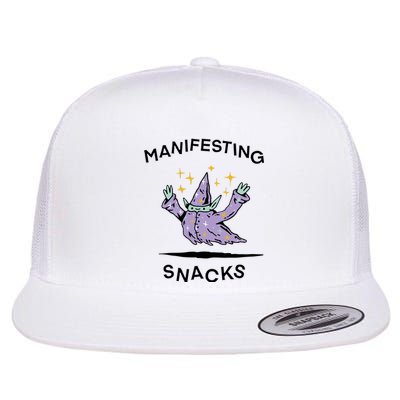 Wizard Of Barge Manifesting Snacks Flat Bill Trucker Hat