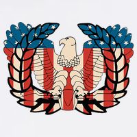 Warrant Officer Corps Eagle Rising Retro Flag Wool Snapback Cap