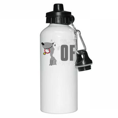 Walker Of Dogs For Professional Dog Walkers Trainers Gift Cool Gift Aluminum Water Bottle 