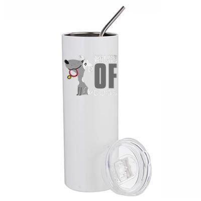 Walker Of Dogs For Professional Dog Walkers Trainers Gift Cool Gift Stainless Steel Tumbler