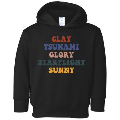 Wings Of Fire Clay Tsunami Glory Starflight Sunny Dragon Toddler Hoodie