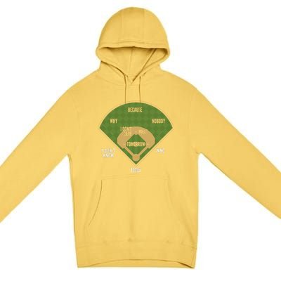 Whos On First Baseball For A Whos On First Baseball Fan Premium Pullover Hoodie