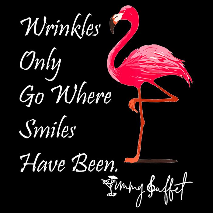Wrinkles Only Go Where Smiles Have Been Flamingo Funny Flat Bill Trucker Hat