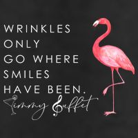 Wrinkles Only Go Where Smiles Have Been Cute Flamingo 7 Panel Mesh Trucker Snapback Hat