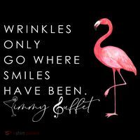 Wrinkles Only Go Where Smiles Have Been Cute Flamingo City Backpack