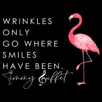Wrinkles Only Go Where Smiles Have Been Cute Flamingo 16 in Basic Backpack