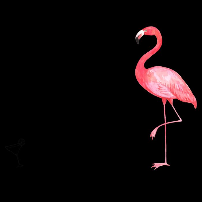 Wrinkles Only Go Where Smiles Have Been Cute Flamingo 16oz Travel Tumbler