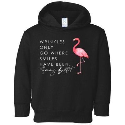Wrinkles Only Go Where Smiles Have Been Cute Flamingo Toddler Hoodie