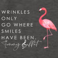 Wrinkles Only Go Where Smiles Have Been Cute Flamingo Vector Backpack