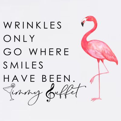 Wrinkles Only Go Where Smiles Have Been Cute Flamingo T-Shirt
