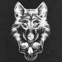 Wolf Head On Skull Graphic Adult Drive Performance Visor