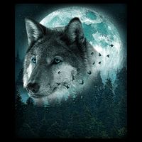 Wolf Moon Forest Wilderness  16 in Basic Backpack