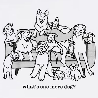 What's One More Dog, Funny Group Dogs, Many Dogs, Funny Dogs T-Shirt