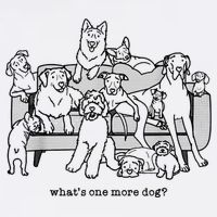 What's One More Dog, Funny Group Dogs, Many Dogs, Funny Dogs Visor