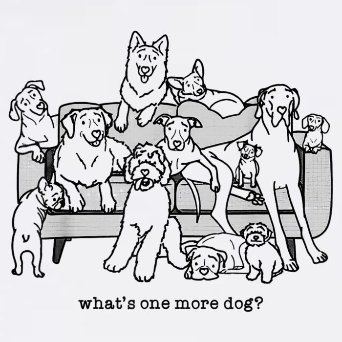 What's One More Dog, Funny Group Dogs, Many Dogs, Funny Dogs Visor