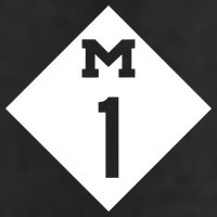 Woodward Ave. M1 Logo 7 Panel Mesh Trucker Snapback Hat