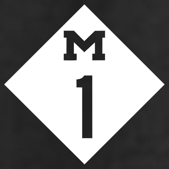 Woodward Ave. M1 Logo Adult Drive Performance Visor