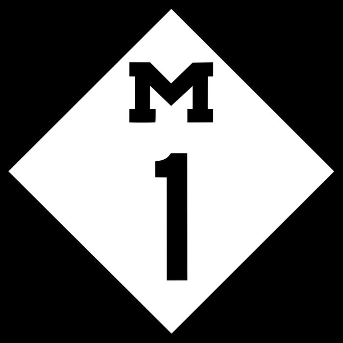 Woodward Ave. M1 Logo 16 in Basic Backpack