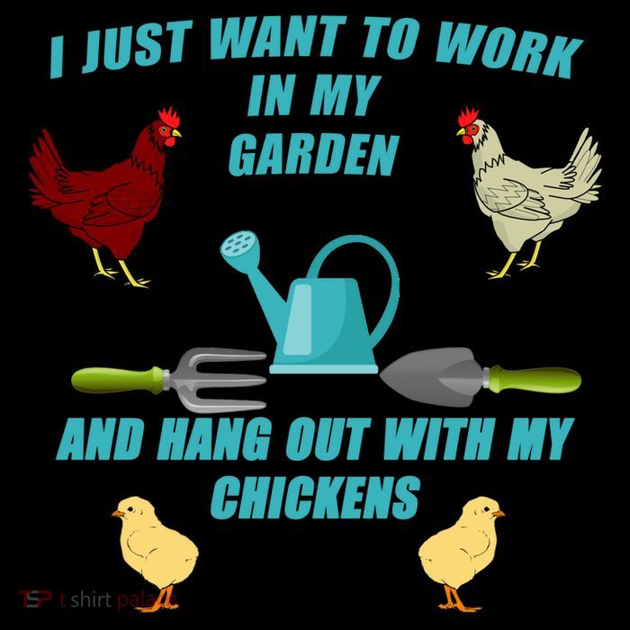 Work In My Garden Hang Out With My Chickens Sustainable Bucket Hat