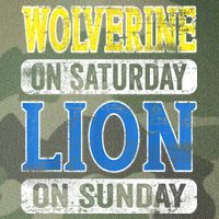 Wolverine On Saturday Lion On Sunday Detroit Legacy Tie Dye Trucker Hat