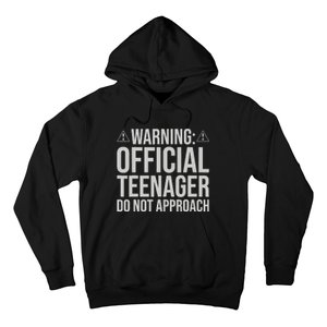 Warning Official Teenager 13th Birthday 13 Year Old Boy Girl Hoodie