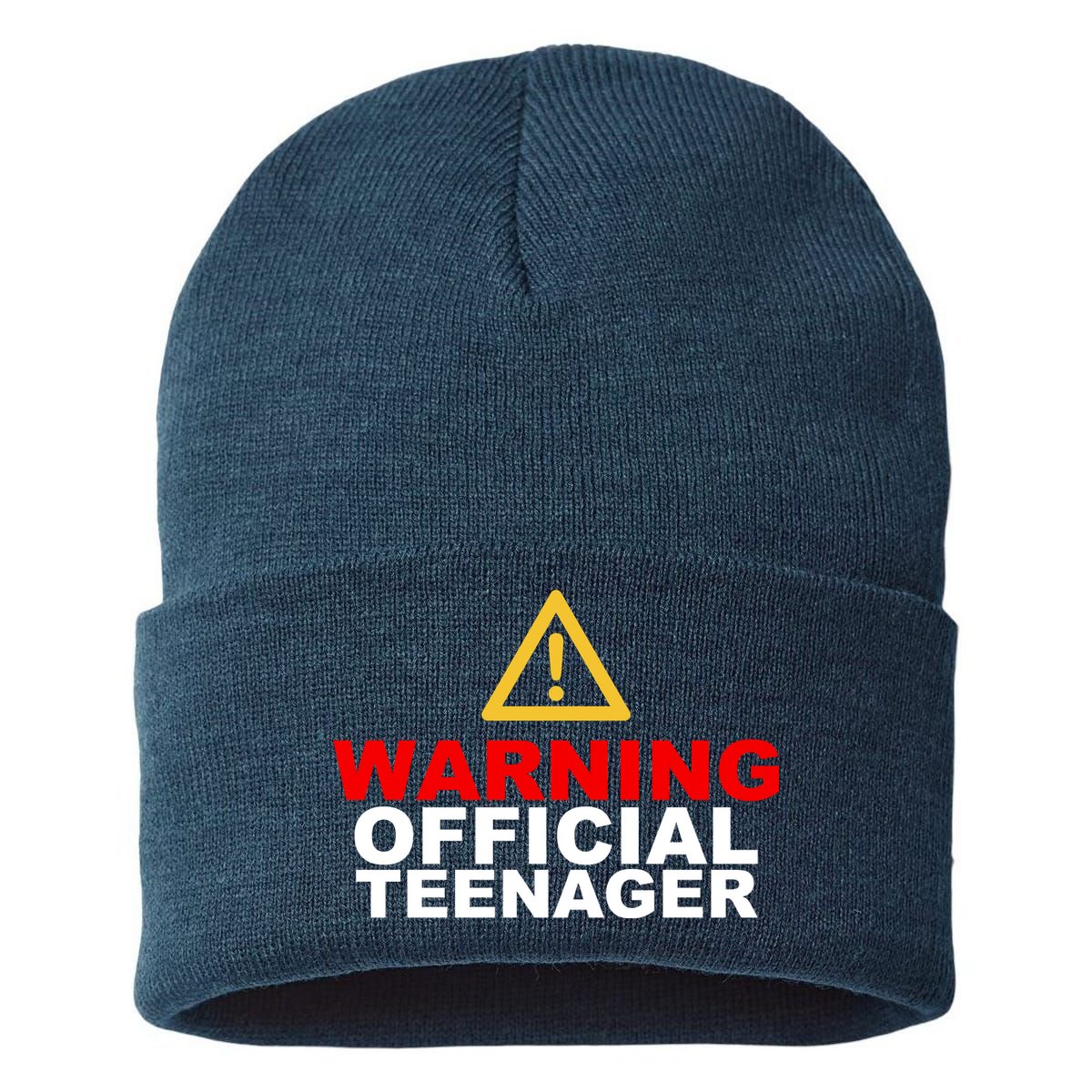 Warning Official Teenager 13th Birthday Sustainable Knit Beanie