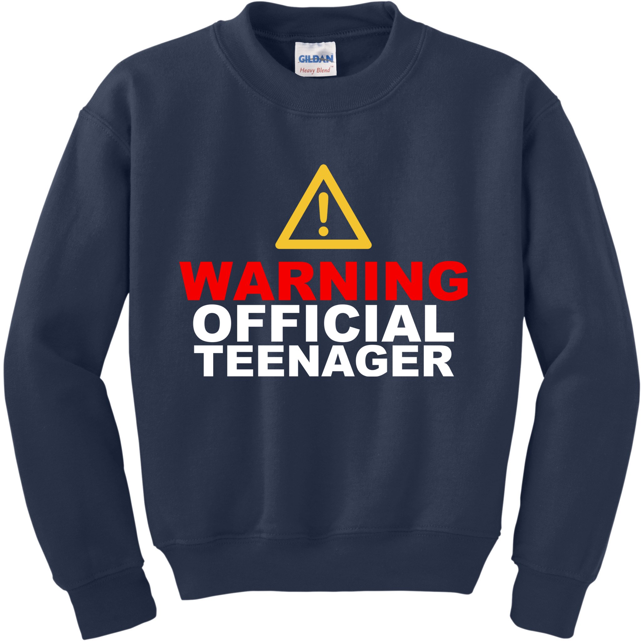 Warning Official Teenager 13th Birthday Kids Sweatshirt