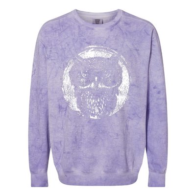 Wise Owl Colorblast Crewneck Sweatshirt