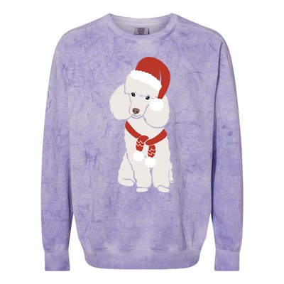 White Poodle Christmas Poodle Holiday Meaningful Gift Colorblast Crewneck Sweatshirt