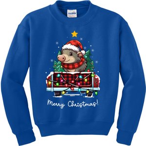 Warty Pig Christmas Truck Plaid Funny Xmas Tree Gift Kids Sweatshirt