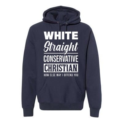 Womens Privilege, Civil Rights, Equality VNeck Premium Hoodie