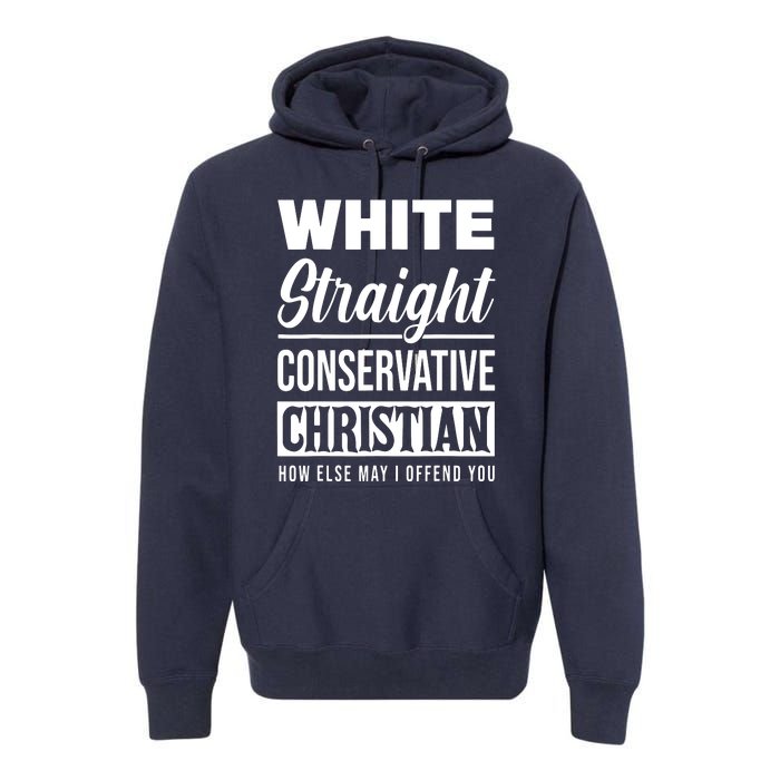 Womens Privilege, Civil Rights, Equality VNeck Premium Hoodie