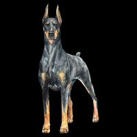 Watercolor Portrait Doberman Pinscher For Dog Owners Bucket Hat