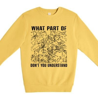 What Part Don't You Understand Funny Engineer Mathematician Meaningful Gift Premium Crewneck Sweatshirt