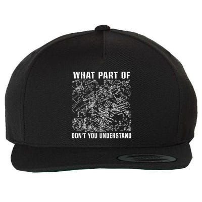 What Part Don't You Understand Funny Engineer Mathematician Meaningful Gift Wool Snapback Cap