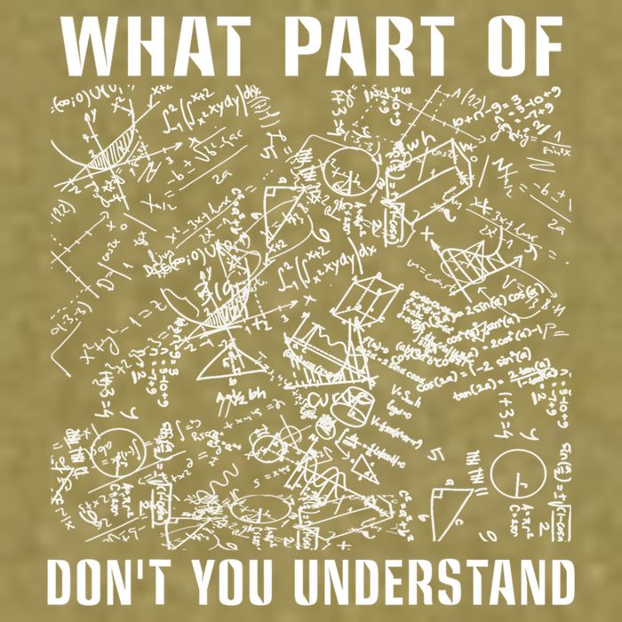 What Part Don't You Understand Funny Engineer Mathematician Meaningful Gift Garment-Dyed Women's Muscle Tee