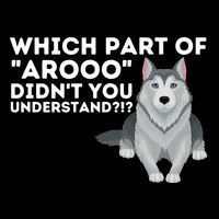 Which Part DidnT You Understand Siberian Husky Lover Sibe Poster