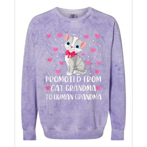 Womens Promoted From Cat Grandma To Human Grandma Funny Cat Colorblast Crewneck Sweatshirt