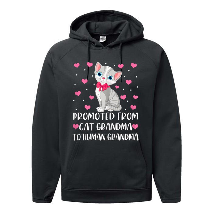 Womens Promoted From Cat Grandma To Human Grandma Funny Cat Performance Fleece Hoodie