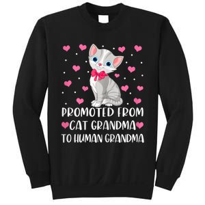 Womens Promoted From Cat Grandma To Human Grandma Funny Cat Sweatshirt