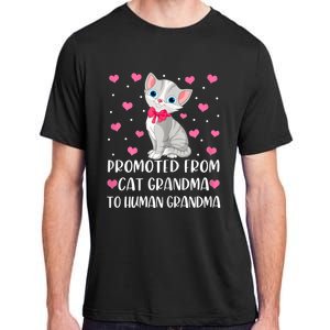 Womens Promoted From Cat Grandma To Human Grandma Funny Cat Adult ChromaSoft Performance T-Shirt