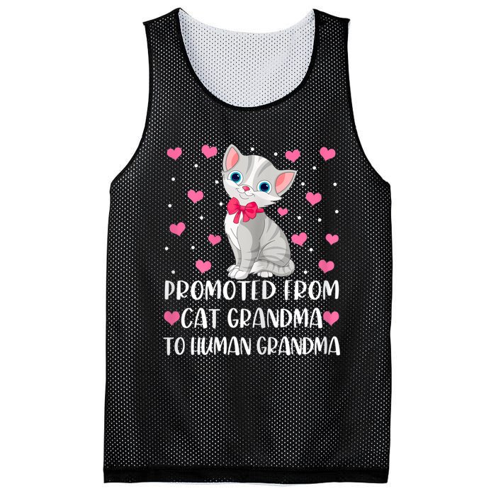 Womens Promoted From Cat Grandma To Human Grandma Funny Cat Mesh Reversible Basketball Jersey Tank