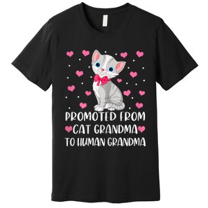 Womens Promoted From Cat Grandma To Human Grandma Funny Cat Premium T-Shirt